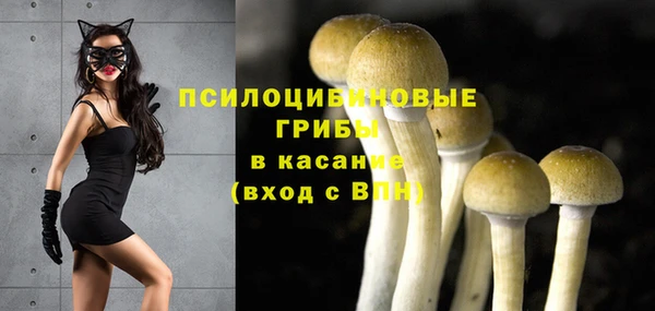 хмурый Покачи