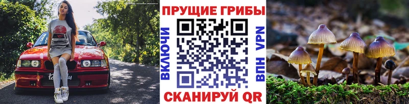 Галлюциногенные грибы Cubensis  Северобайкальск 